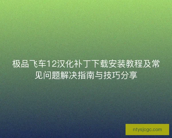 极品飞车12汉化补丁下载安装教程及常见问题解决指南与技巧分享