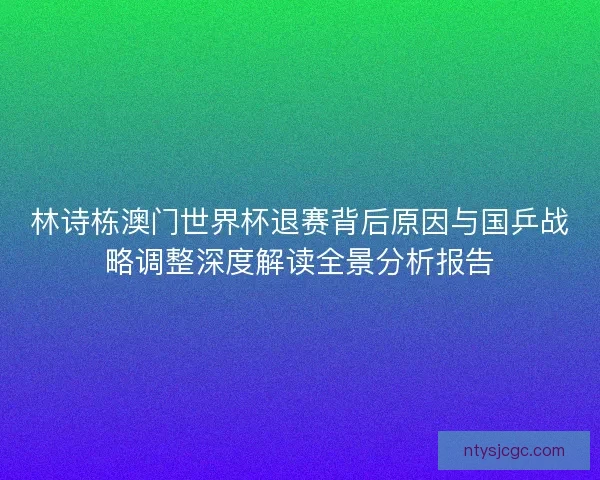 林诗栋澳门世界杯退赛背后原因与国乒战略调整深度解读全景分析报告 林诗栋澳门世界杯退赛背后原因与国乒战略调整深度解读全景分析报告