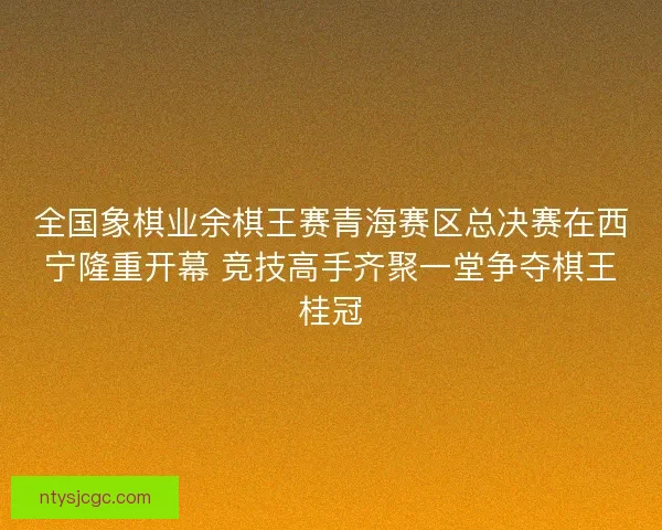 全国象棋业余棋王赛青海赛区总决赛在西宁隆重开幕 竞技高手齐聚一堂争夺棋王桂冠